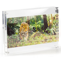 FRM-10, Fotolijst 21 x 15 cm, met magneetsluiting, van plexiglas (doorzichtig), voor staand of liggend formaat