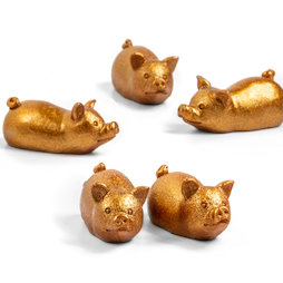 LIV-132, Gouden varkentjes, decomagneten in varkentjes-vorm, set van 5