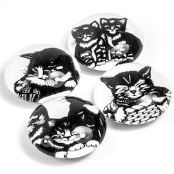 LIV-139, Kattenkinderen, decomagneten met katten motief, set van 4
