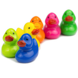 LIV-51, Eendjes, decoratieve magneten in eendevorm, set van 6