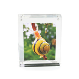 FRM-01, Fotolijstje 11${dec}5 x 9 cm, met magneetsluiting, van plexiglas (doorzichtig), voor staand of liggend formaat