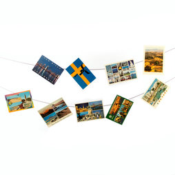 FL-06, Fotokoord 3 m, met 2 ophanglussen, incl. 30 neodymium magneten